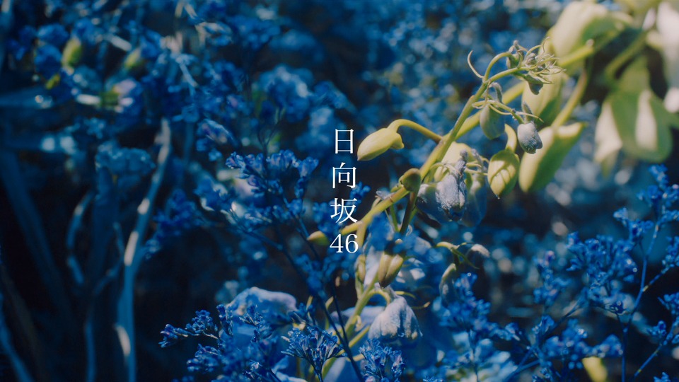 日向坂46 (Hinatazaka46) – ソンナコトナイヨ (2020) [Type-A～Type-C] 1080P蓝光原盘 [3BD BDISO 50.7G]Blu-ray、日本演唱会、蓝光演唱会16
