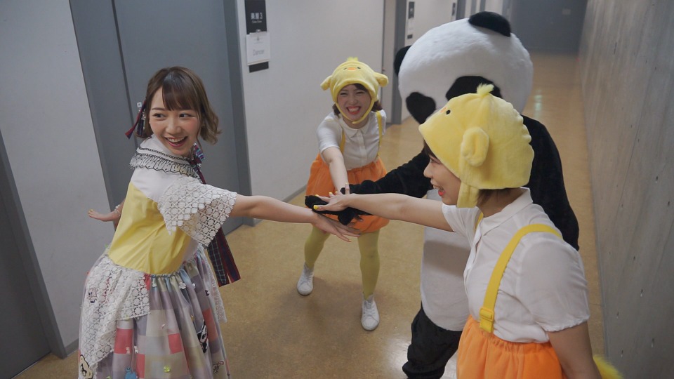 夏川椎菜 (TrySail) – 1st Live Tour 2019 プロットポイント [初回生産