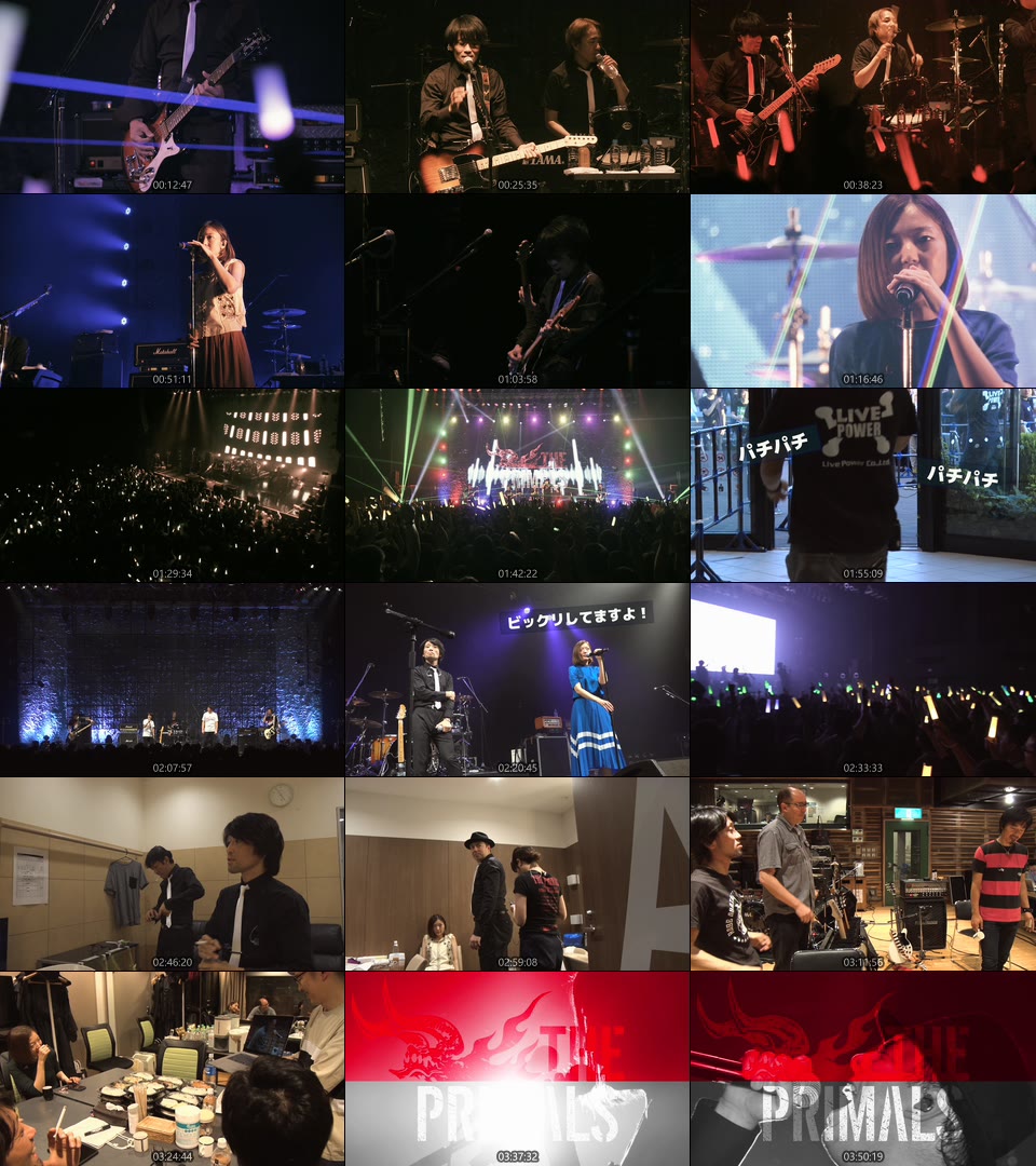 THE PRIMALS 祖堅正慶 – Zepp Tour 2018 – Trial By Shadow (2018) 1080P蓝光原盘 [BDISO 43.9G]Blu-ray、日本演唱会、蓝光演唱会12