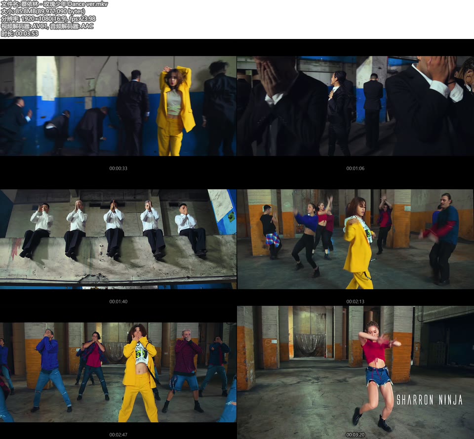 蔡依林 – 玫瑰少年 Dance Ver (官方MV) [1080P 86M]WEB、华语MV、高清MV2