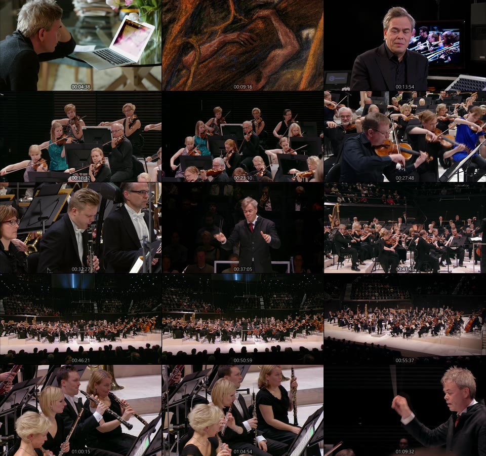 西贝柳斯 : 交响曲全集 Sibelius 7 Symphonies (Hannu Lintu, Finnish Radio Symphony Orchestra) (2015) 1080P蓝光原盘 [3BD BDMV 122.2G]Blu-ray、古典音乐会、蓝光演唱会16