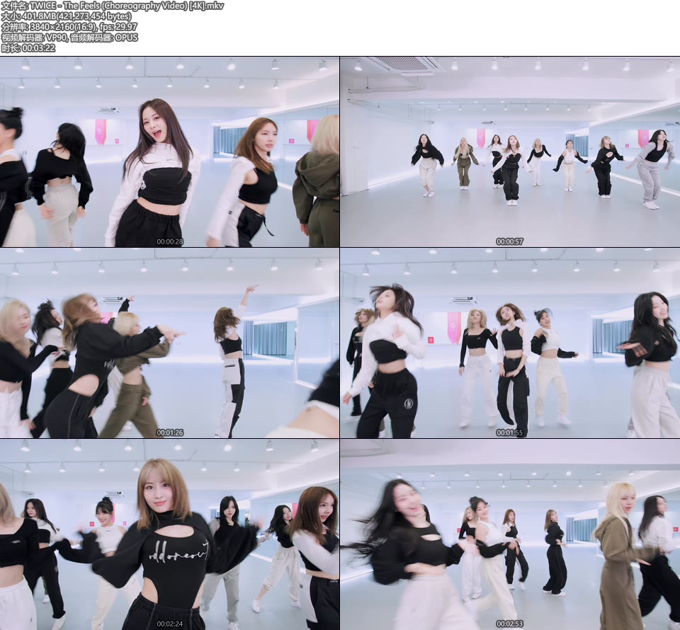 [4K] TWICE – The Feels (Choreography Video) [2160P 402M]4K MV、韩国MV、高清MV2