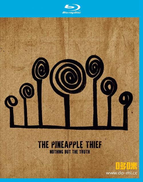 The Pineapple Thief – Nothing But The Truth (2021) 1080P蓝光原盘 [BDMV 38.7G]