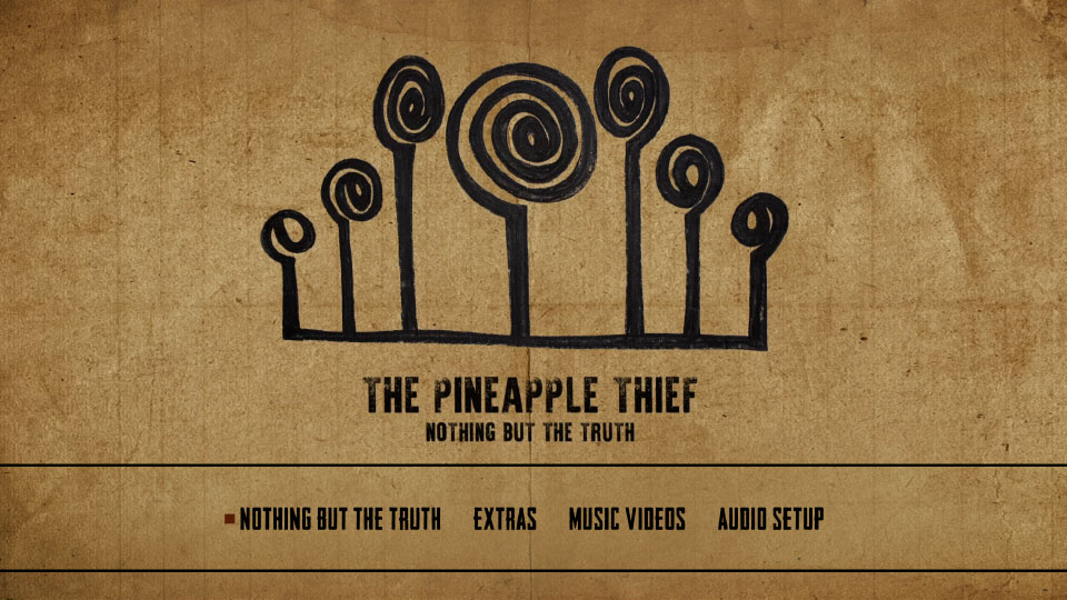 The Pineapple Thief – Nothing But The Truth (2021) 1080P蓝光原盘 [BDMV 38.7G]Blu-ray、Blu-ray、摇滚演唱会、欧美演唱会、蓝光演唱会10