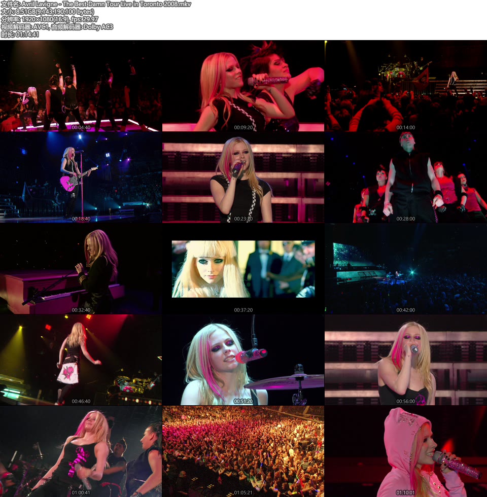 Avril Lavigne – The Best Damn Tour Live in Toronto 2008 [WEB 8.5G]WEB、欧美现场、音乐现场8