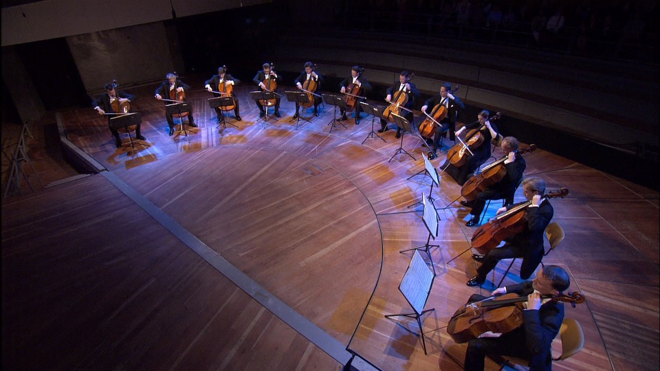 柏林爱乐十二大提琴手 Die 12 Cellisten der Berliner Philharmoniker Anniversary Edition (2012) 1080P蓝光原盘 [BDMV 44.3G]Blu-ray、古典音乐会、蓝光演唱会4