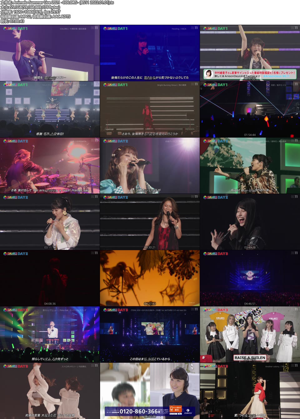 Animelo Summer Live 2021 -COLORS- (BS11 2022.01.01) 1080P HDTV [TS 55.1G]HDTV、日本演唱会、蓝光演唱会48
