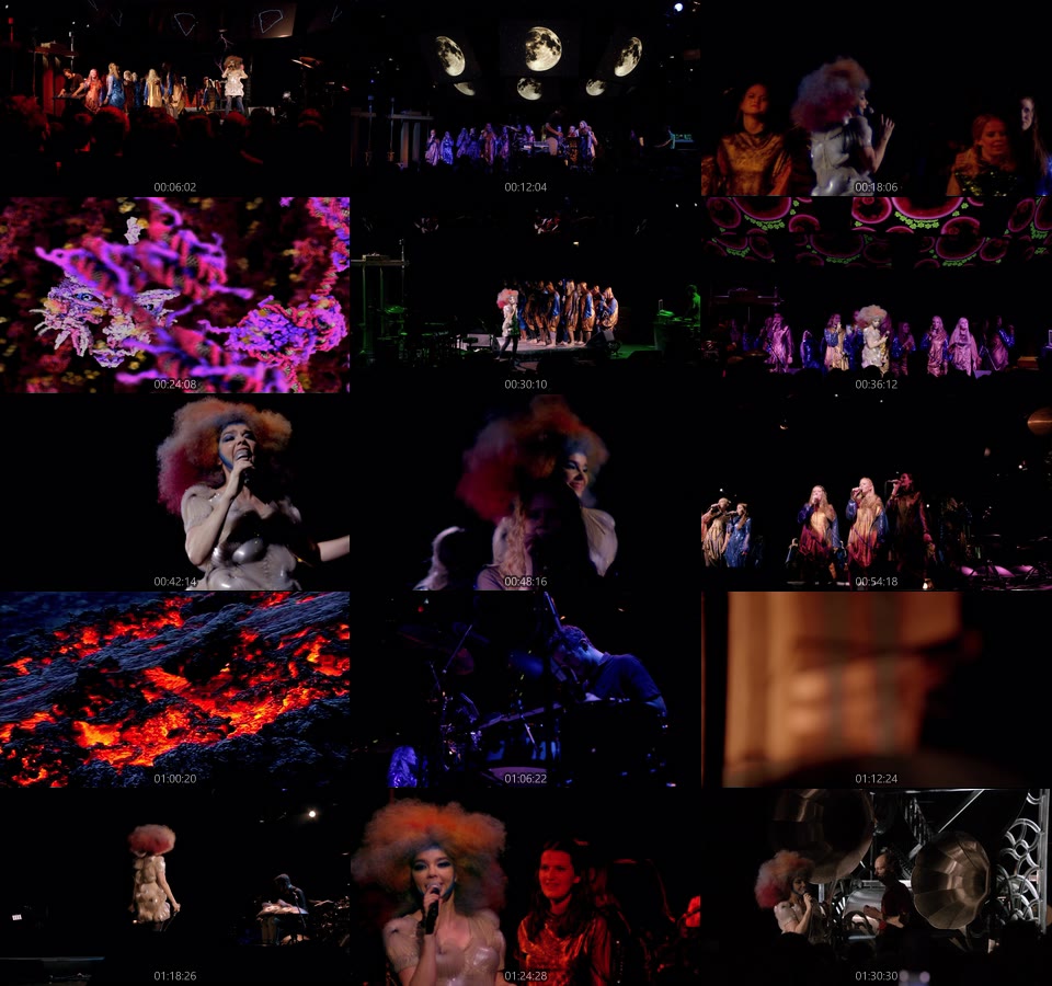Bjork 比约克 – Biophilia Live (2014) 1080P蓝光原盘 [BDMV 22.7G]Blu-ray、欧美演唱会、蓝光演唱会16