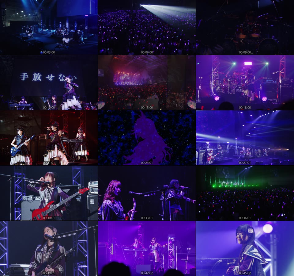 BanG Dream! Roselia – R [Blu-ray付生産限定盤] (2018) 1080P蓝光原盘 [CD+BD BDISO 11.5G]Blu-ray、日本演唱会、蓝光演唱会16