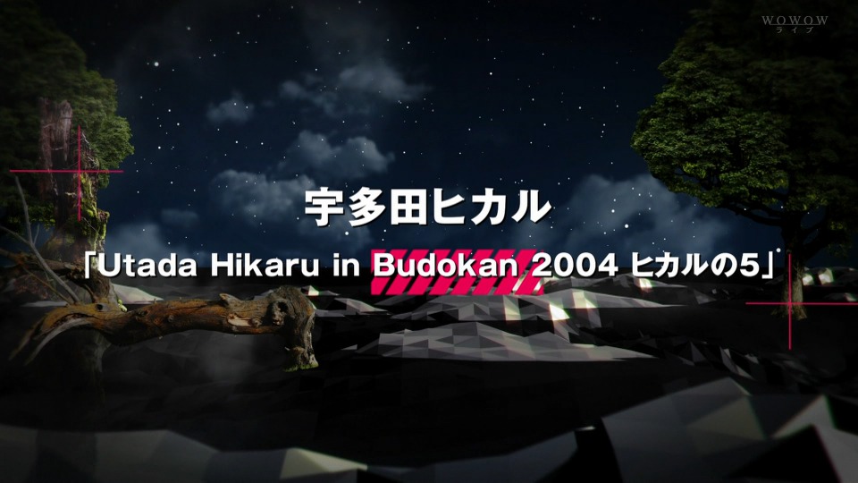 宇多田ヒカル Utada Hikaru in Budokan 2004 (WOWOW 2014.07.27) [HDTV 20.1G]HDTV日本、HDTV演唱会4