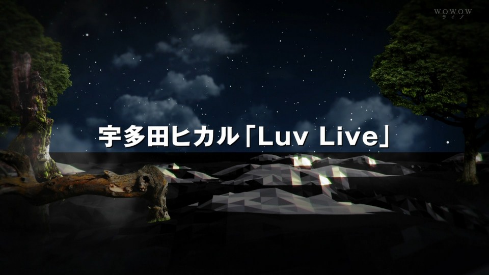宇多田ヒカル Luv Live (WOWOW 2014.06.08) [HDTV 11.1G]