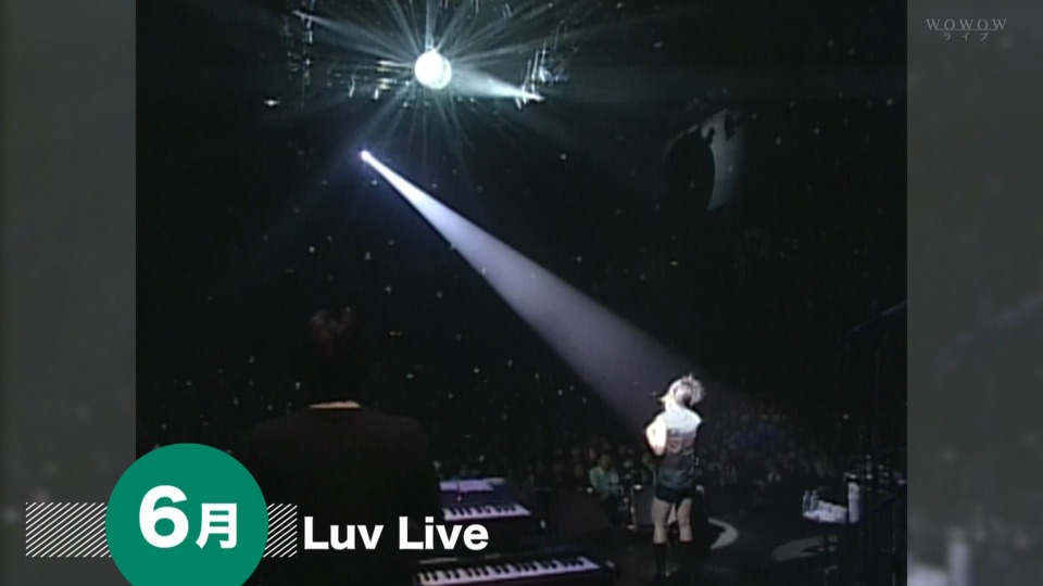 宇多田ヒカル Luv Live (WOWOW 2014.06.08) [HDTV 11.1G]HDTV日本、HDTV演唱会6