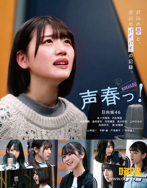 日向坂46 (Hinatazaka46) -「声春っ! 」Blu-ray BOX (2021) 1080P蓝光原盘 [6BD BDISO 137.1G]