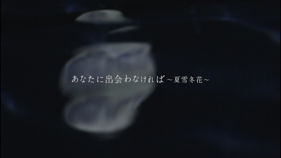 Aimer – あなたに出会わなければ~夏雪冬花~ (官方MV) [蓝光提取 Aimer – あなたに出会わなければ~夏雪冬花~ (官方MV) [蓝光提取