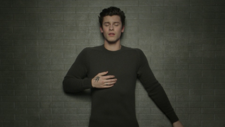 [PR] Shawn Mendes – In My Blood (官方MV) [ProRes] [1080P 4.39G]