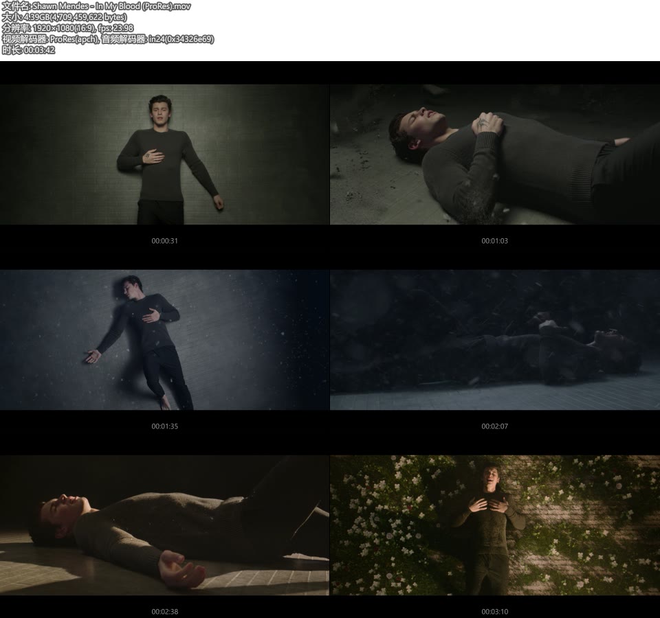 [PR] Shawn Mendes – In My Blood (官方MV) [ProRes] [1080P 4.39G]ProRes、欧美MV、高清MV2