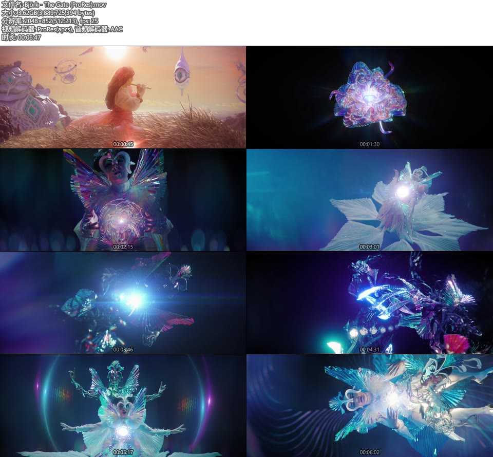[PR] Björk – The Gate (官方MV) [ProRes] [1080P 3.62G]ProRes、欧美MV、高清MV2