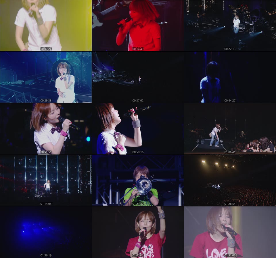aiko – 15 [3枚組 Blu-ray] (2013) 1080P蓝光原盘 [3BD BDISO 119.2G]Blu-ray、日本演唱会、蓝光演唱会14