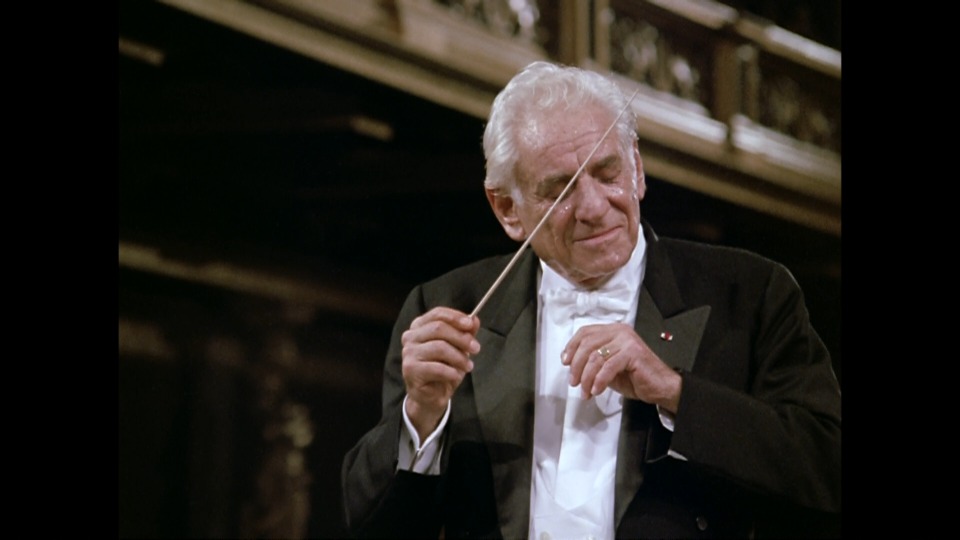 伯恩斯坦 贝多芬四重奏与海顿弥撒 Beethoven String Quartet No.16 & Haydn Missa in Tempore Belli (Leonard Bernstein) (2012) 1080P蓝光原盘 [BDMV 21.1G]Blu-ray、古典音乐会、蓝光演唱会6