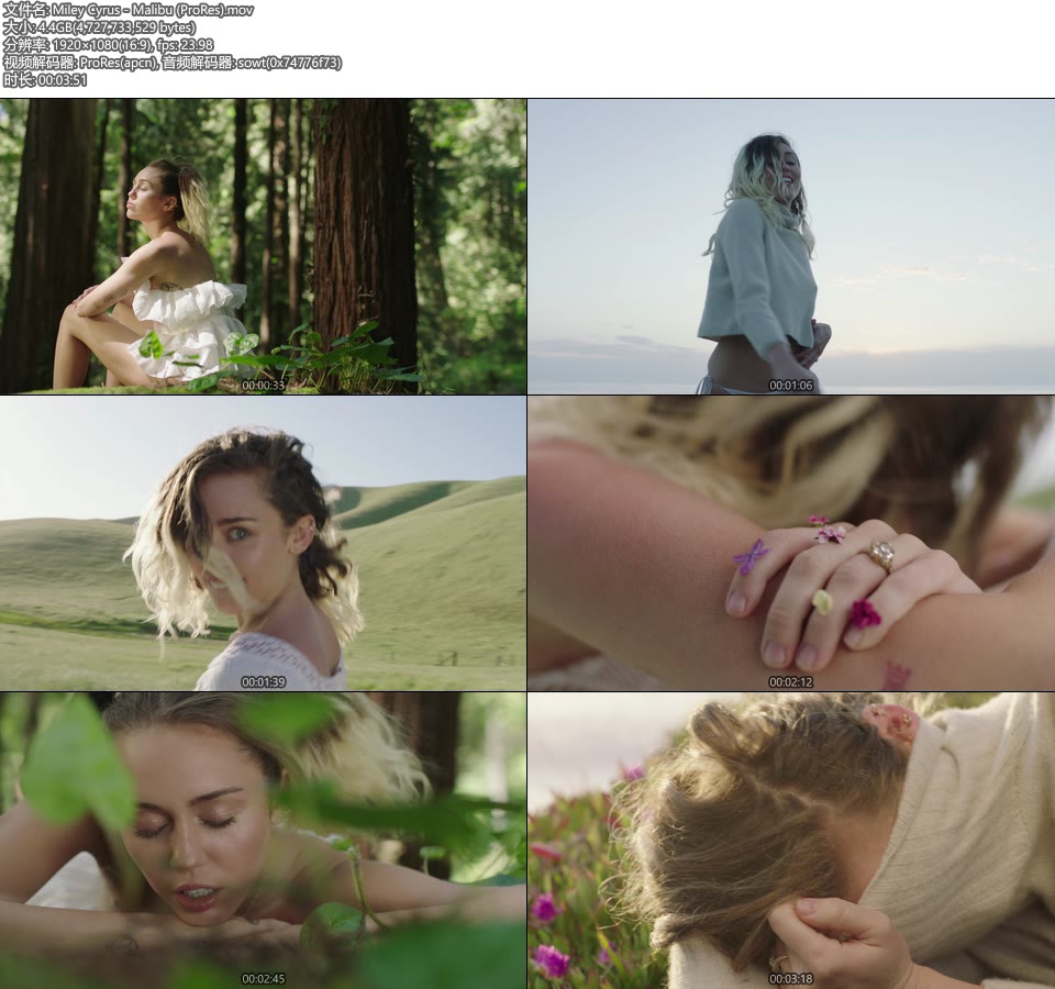 [PR] Miley Cyrus – Malibu (官方MV) [ProRes] [1080P 4.4G]ProRes、欧美MV、高清MV2