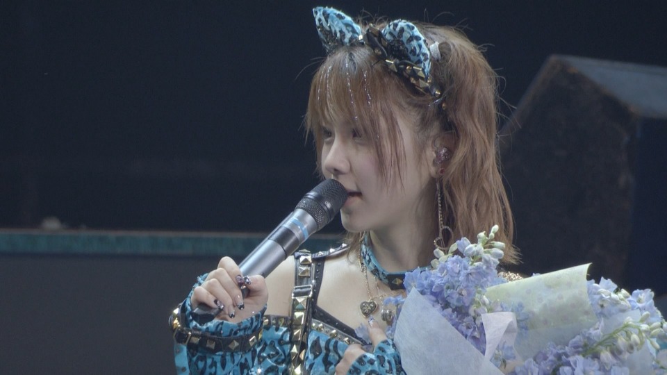 モーニング娘。2013春ミチシゲ☆イレブンSOUL ~田中れいな卒業記念日