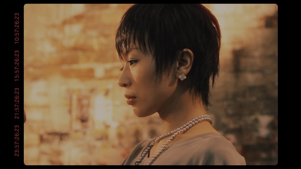 東京事変 (Tokyo Jihen, 椎名林檎) – Golden Time (2013) 1080P蓝光原盘 [BDISO 15.4G]Blu-ray、日本演唱会、蓝光演唱会8