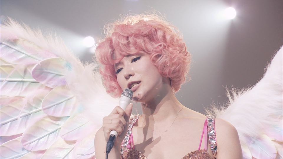 椎名林檎 (Shiina Ringo) – (生)林檎博′14 -年女の逆襲- Ringo Expo 2014 (2018) 1080P蓝光原盘 [BDISO 36.6G]Blu-ray、日本演唱会、蓝光演唱会10