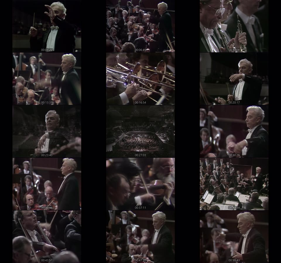 卡拉扬 – 施特劳斯 : 死与净化与变形 Herbert von Karajan & BPO – Richard Strauss Tod Und Verklarung & Metamorphosen (2021) 1080P蓝光原盘 [BDMV 17.5G]Blu-ray、古典音乐会、蓝光演唱会14