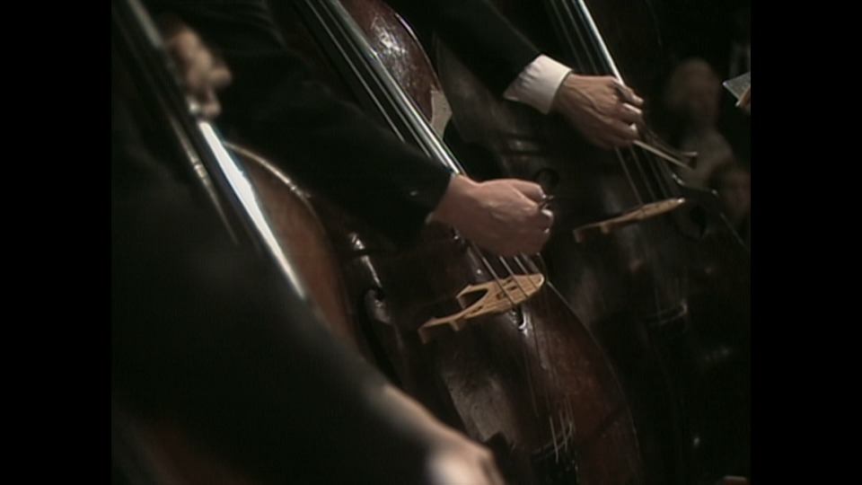 卡拉扬 – 施特劳斯 : 阿尔卑斯交响曲 Herbert von Karajan & BPO – Richard Strauss Eine Alpensinfonie (2019) 1080P蓝光原盘 [BDMV 18.4G]Blu-ray、古典音乐会、蓝光演唱会8