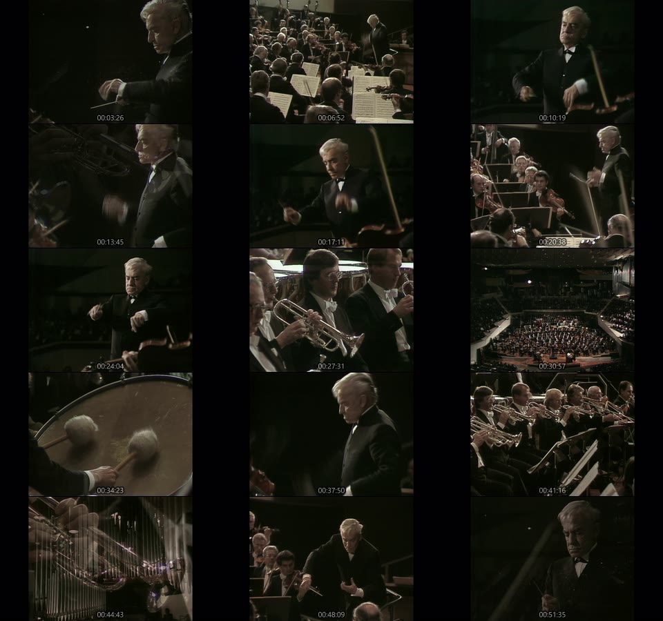 卡拉扬 – 施特劳斯 : 阿尔卑斯交响曲 Herbert von Karajan & BPO – Richard Strauss Eine Alpensinfonie (2019) 1080P蓝光原盘 [BDMV 18.4G]Blu-ray、古典音乐会、蓝光演唱会14