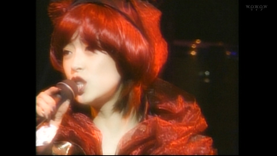 ☆貴重☆ 中森明菜 1995年 TRUE LIVE パンフレット 貴重 中森明菜 1995年 TRUE LIVE パンフレット