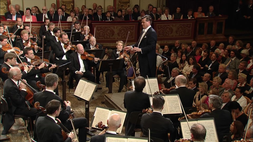 蒂勒曼 贝多芬第九交响曲 Beethoven Symphonies No. 9 (Christian Thielemann, Wiener Philharmoniker) (2016) 1080P蓝光原盘 [BDMV 20.5G]Blu-ray、古典音乐会、蓝光演唱会8