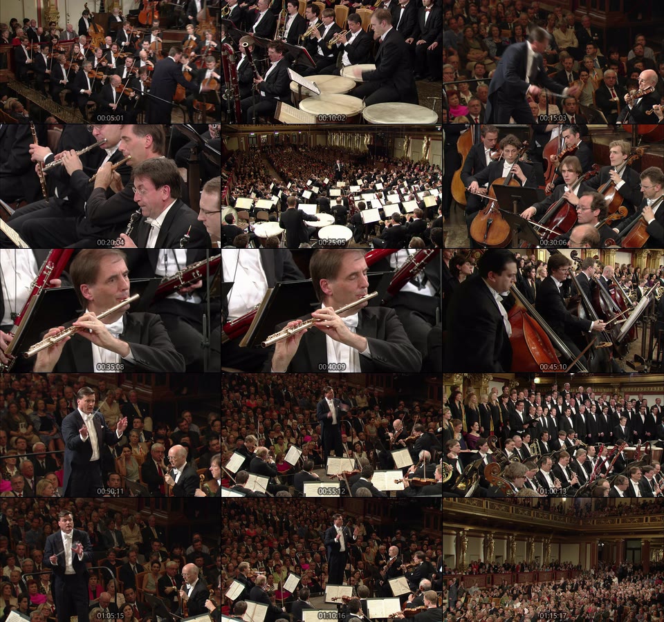 蒂勒曼 贝多芬第九交响曲 Beethoven Symphonies No. 9 (Christian Thielemann, Wiener Philharmoniker) (2016) 1080P蓝光原盘 [BDMV 20.5G]Blu-ray、古典音乐会、蓝光演唱会14