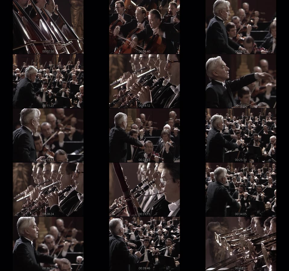 卡拉扬 – 德沃夏克第九交响曲 自新大陆 Herbert von Karajan & BPO – Dvorak Symphony No. 9 (2021) 1080P蓝光原盘 [BDMV 14.8G]Blu-ray、古典音乐会、蓝光演唱会14