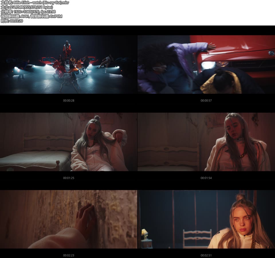 Billie Eilish – watch (官方MV) [Blu-ray Cut 蓝光提取] [1080P 912M]Master、欧美MV、高清MV2