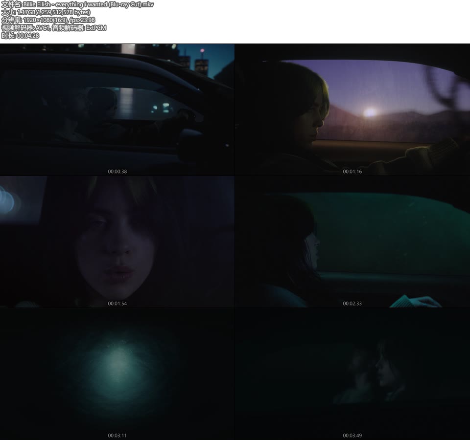Billie Eilish – everything i wanted (官方MV) [Blu-ray Cut 蓝光提取] [1080P 1.17G]Master、欧美MV、高清MV2