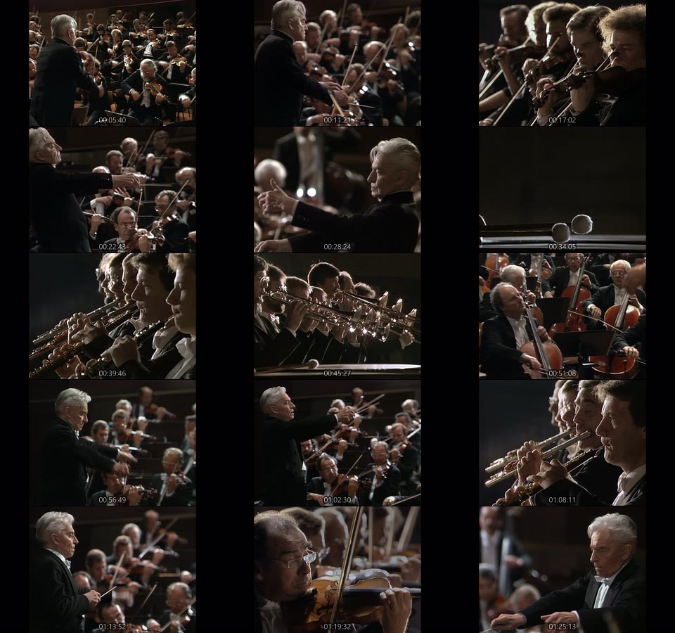 卡拉扬 – 勃拉姆斯第一/二交响曲 Herbert von Karajan & BPO – Brahms Symphonies Nos. 1 & 2 (2020) 1080P蓝光原盘 [BDMV 22.2G]Blu-ray、古典音乐会、蓝光演唱会14