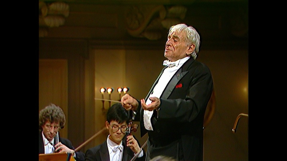 伯恩斯坦 自由颂 : 贝多芬第九交响曲 Leonard Bernstein – Ode to Freedom : Beethoven Symphony No. 9 (2018) 1080P蓝光原盘 [BDISO 22.2G]Blu-ray、古典音乐会、蓝光演唱会4