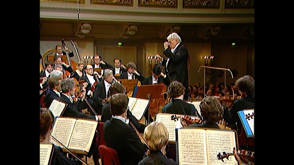 伯恩斯坦 自由颂 : 贝多芬第九交响曲 Leonard Bernstein – Ode to Freedom : Beethoven Symphony No. 9 (2018) 1080P蓝光原盘 [BDISO 22.2G]Blu-ray、古典音乐会、蓝光演唱会6