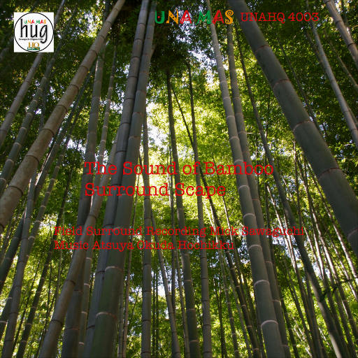泽口真生 – 海竹·山竹 Winds of Bamboo (2018) [FLAC 24bit／96kHz]