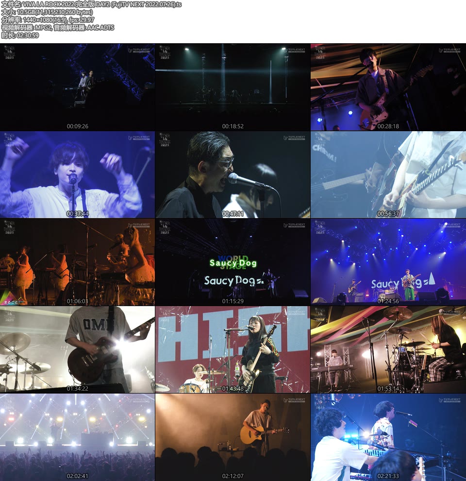VIVA LA ROCK 2022 完全版 DAY1-DAY4 (FujiTV NEXT 2022.07.25) 1080P HDTV [TS 42.3G]HDTV、日本演唱会、蓝光演唱会4
