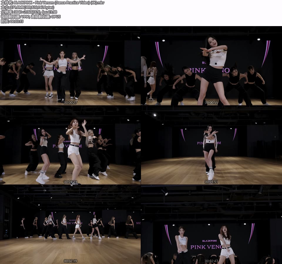 [4K] BLACKPINK – Pink Venom (Dance Practice Video) [2160P 372M]4K MV、WEB、韩国MV、高清MV2