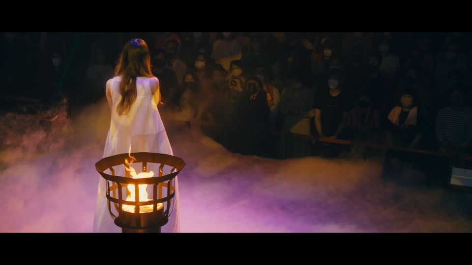 【完全限定盤】Aimer Hall Tour2022Walpurgisnacht Amazon.co.jp: Aimer Hall Tour 2022 