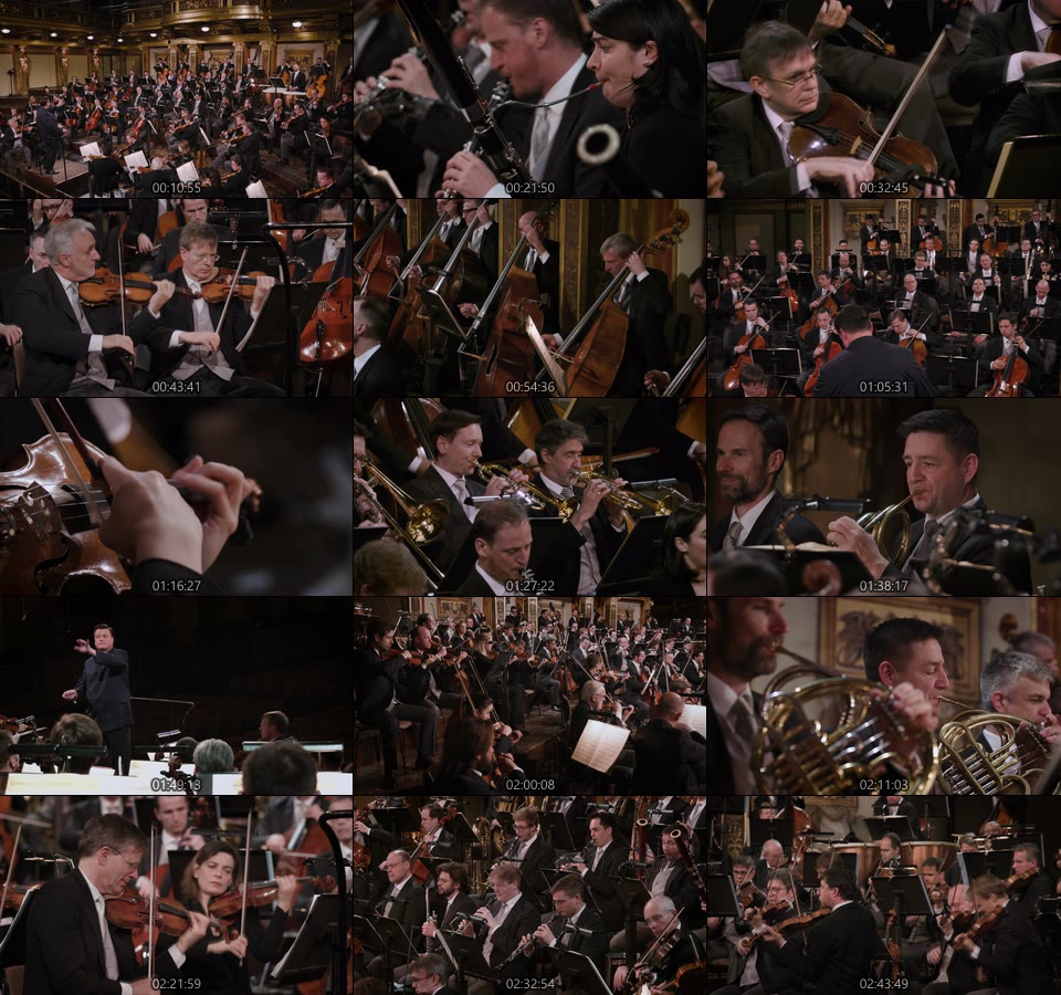 蒂勒曼 布鲁克纳零号第五号交响曲 Bruckner Symphonies F Minor, D Minor & No. 5 (Christian Thielemann, Wiener Philharmoniker) (2022) 1080P蓝光原盘 [BDMV 42.4G]Blu-ray、古典音乐会、蓝光演唱会16