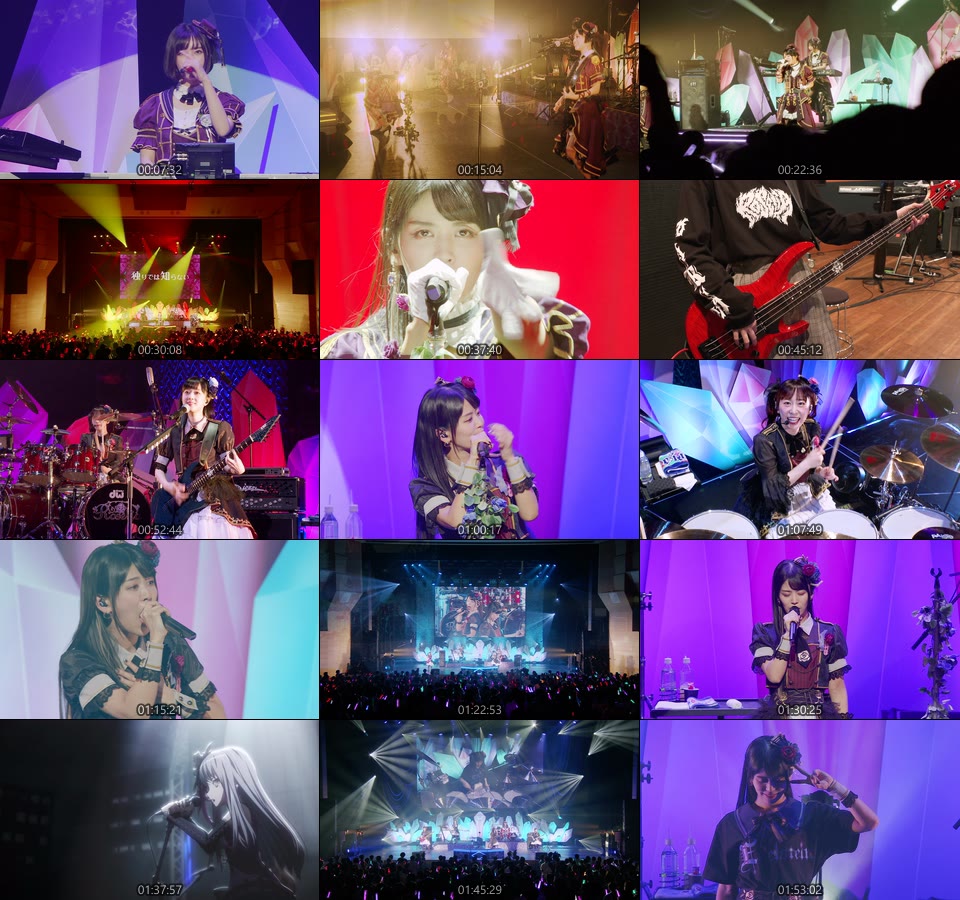 BanG Dream! Roselia「Edelstein」DAY1+DAY2 (2022) 1080P蓝光原盘 [2BD BDISO 44.1G]Blu-ray、日本演唱会、蓝光演唱会14