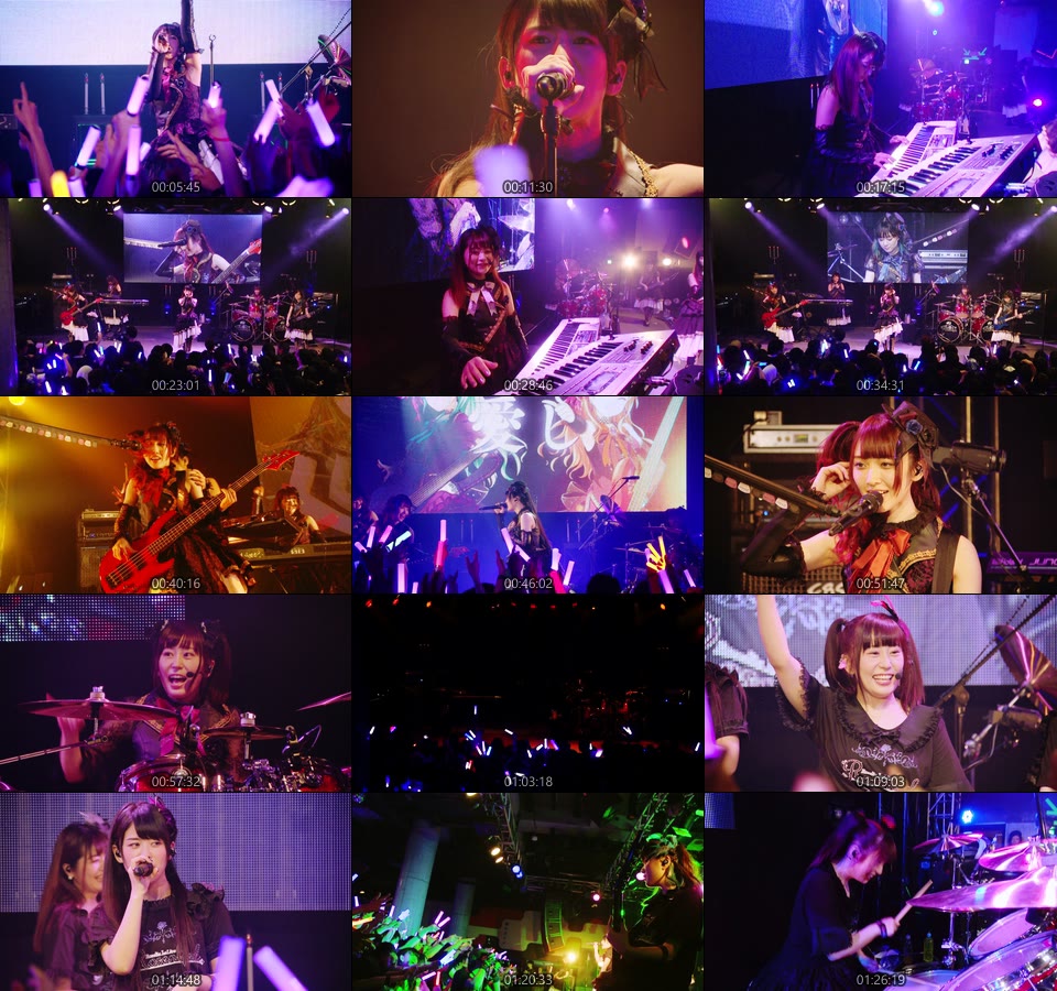 BanG Dream! Roselia 1st Live「Rosenlied」& 2nd Live「Zeit」(2018) 1080P蓝光原盘 [CD+2BD BDISO 42.6G]Blu-ray、日本演唱会、蓝光演唱会12