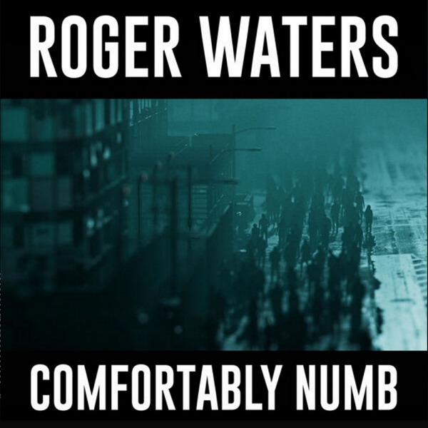 Roger Waters – Comfortably Numb 2022 (2022) [FLAC 24bit／48kHz]