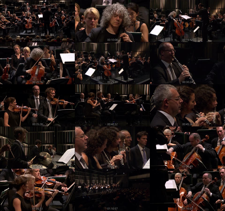 史蒂芬·依瑟利斯 马勒室内管弦乐团 The Mahler Chamber Orchestra (Teodor Currentzis, Steven Isserlis) (2014) 1080P蓝光原盘 [BDMV 20.8G]Blu-ray、古典音乐会、蓝光演唱会14
