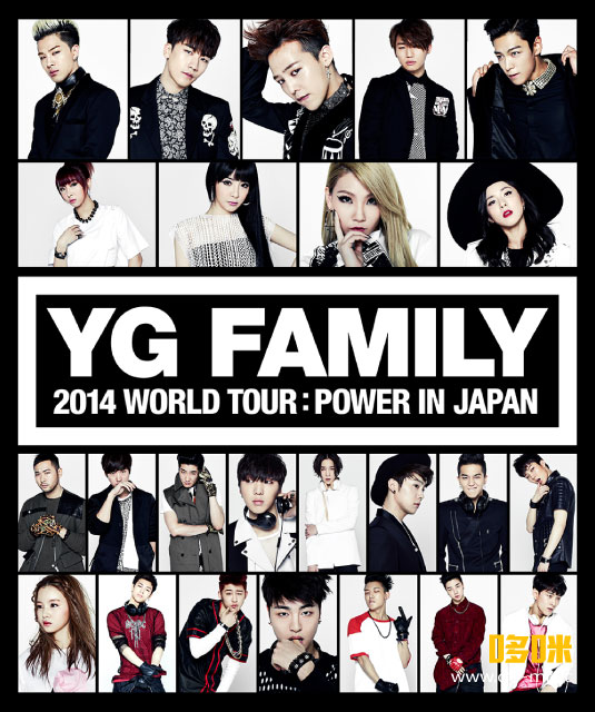 YG家族 – YG FAMILY WORLD TOUR 2014 POWER In Japan (2014) 1080P蓝光原盘 [2BD BDMV 70.3G]