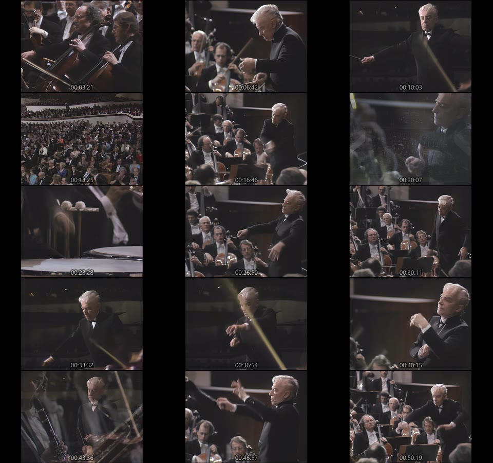 卡拉扬 – 1983柏林爱乐除夕音乐会 Herbert von Karajan & BPO – New Year′s Eve Concert 1983 (2022) 1080P蓝光原盘 [BDMV 16.3G]Blu-ray、古典音乐会、蓝光演唱会14